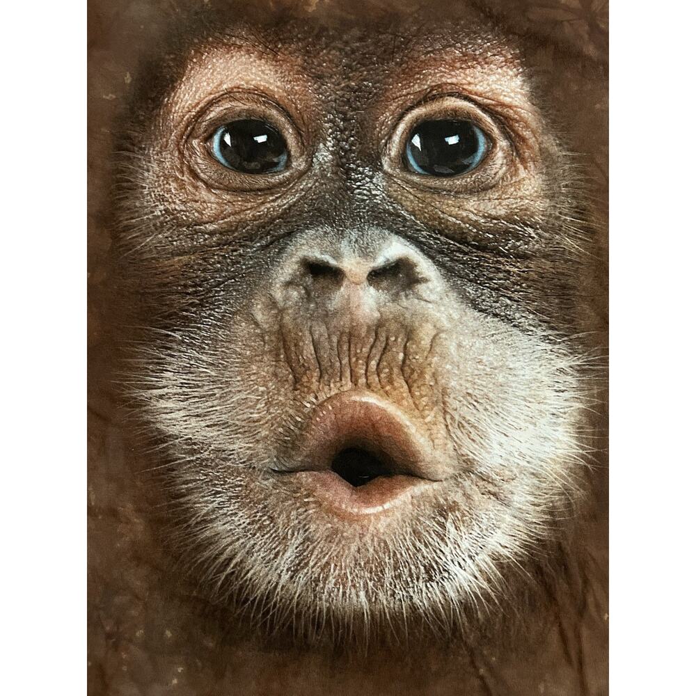 Big Baby Face Orangutan Monkey Brown Tie Dye Graphic T-Shirt Size 3XL